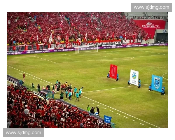 围绕天津泰达足协杯完整赛程解读球队征程亮点全景盘点展