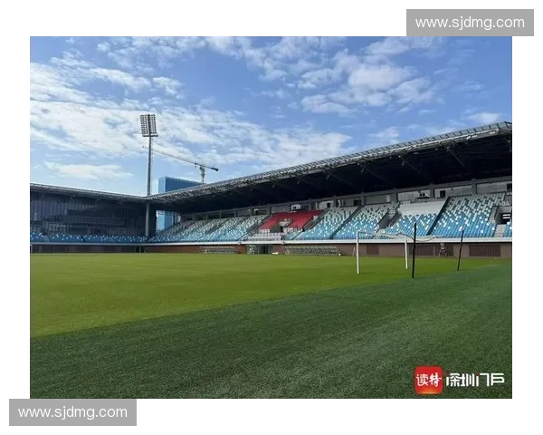 围绕广东省青少年足球联赛促进青训体系全面提升路径研究策略分析